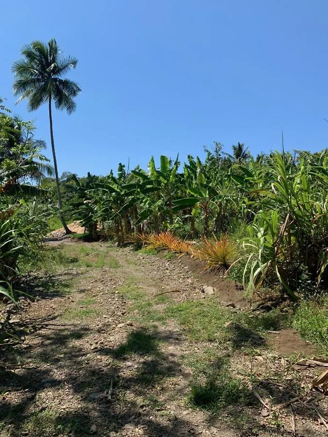 Hostel Green Queendom Farm And Lodging Oracabessa