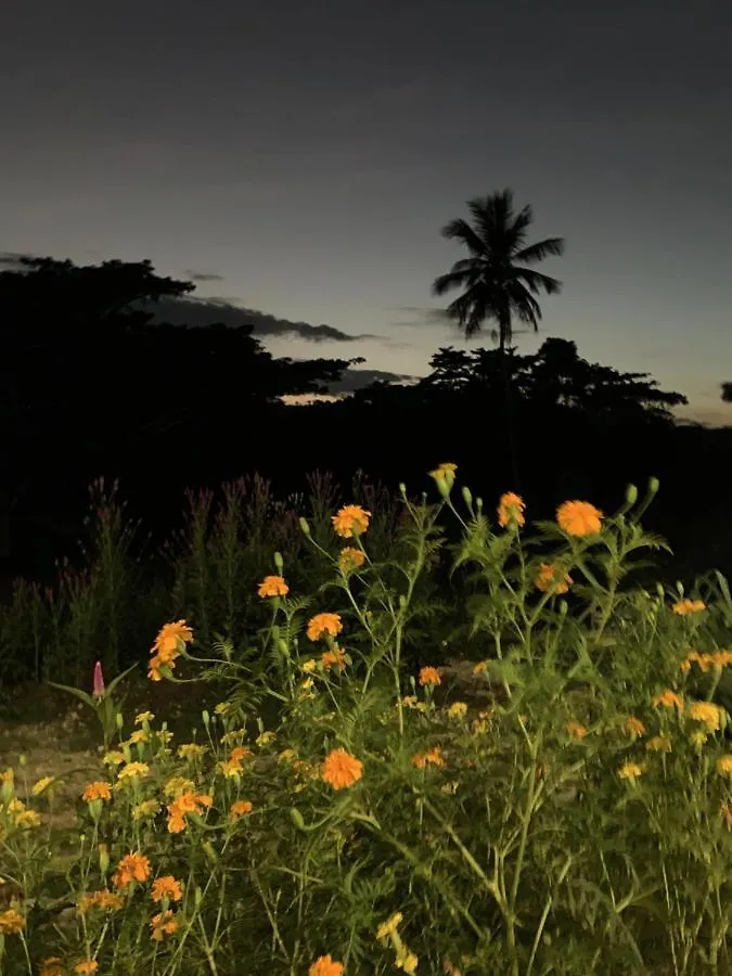 Green Queendom Farm And Lodging Oracabessa Hostel