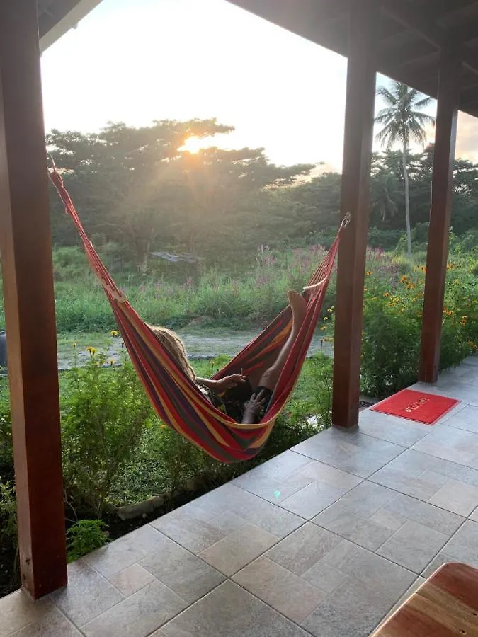 Green Queendom Farm And Lodging Oracabessa