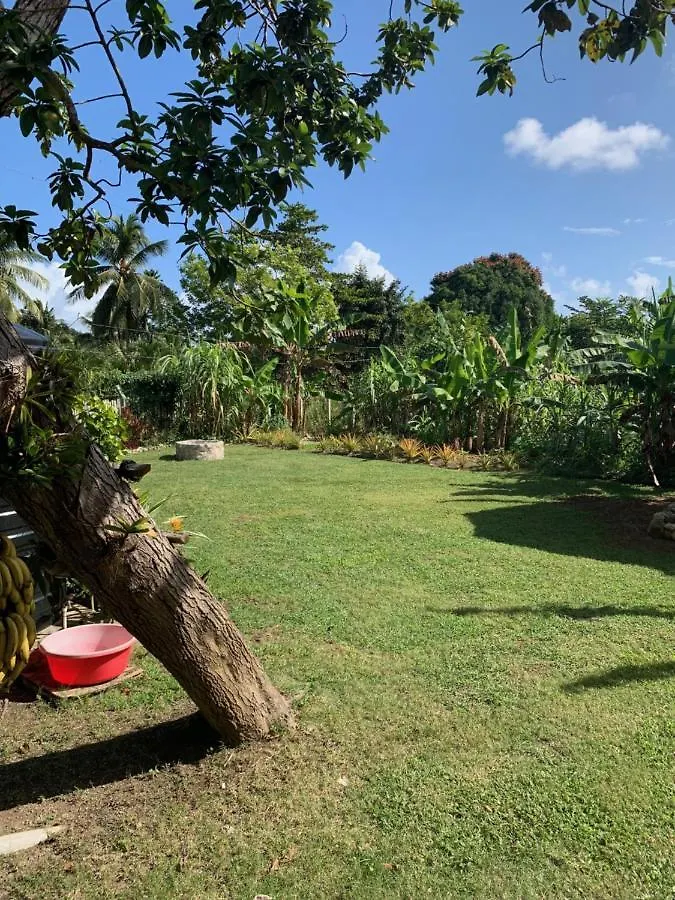 Vandrarhem Green Queendom Farm And Lodging Oracabessa