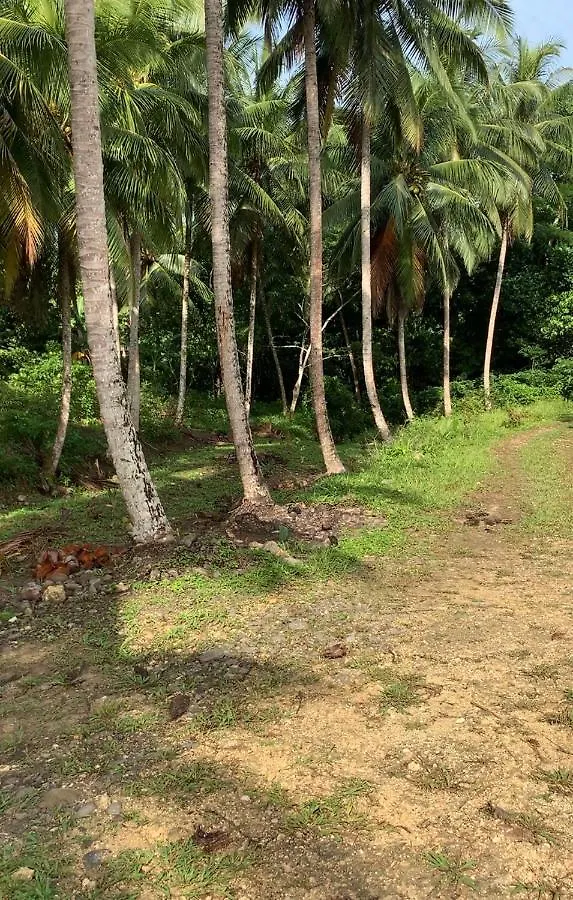 Vandrarhem Green Queendom Farm And Lodging Oracabessa