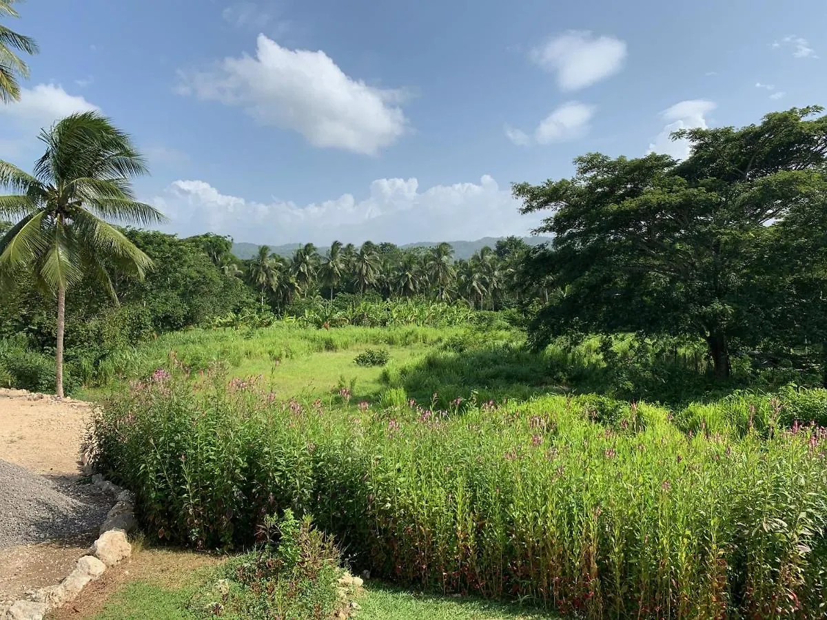 Green Queendom Farm And Lodging Oracabessa 0*,