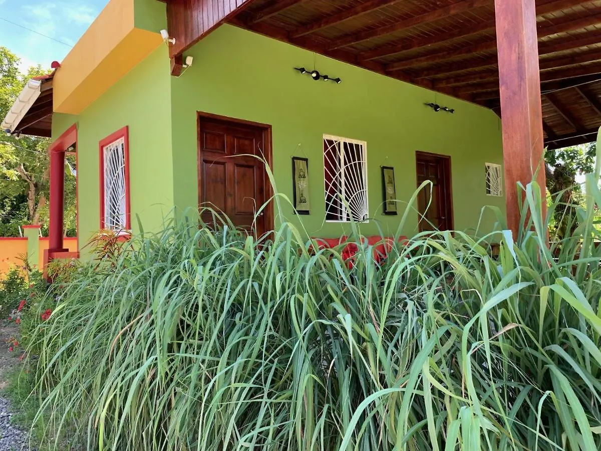 Green Queendom Farm And Lodging Oracabessa Vandrarhem