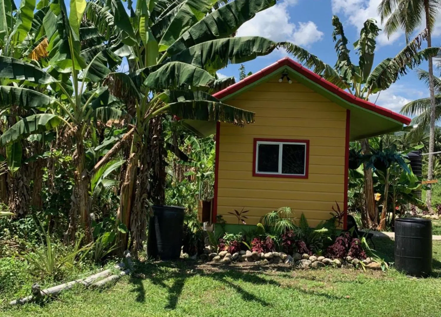 Green Queendom Farm And Lodging Oracabessa